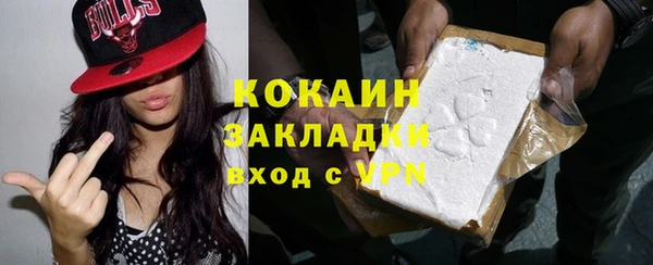 индика Аркадак