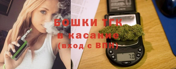 индика Аркадак