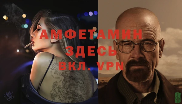 индика Аркадак