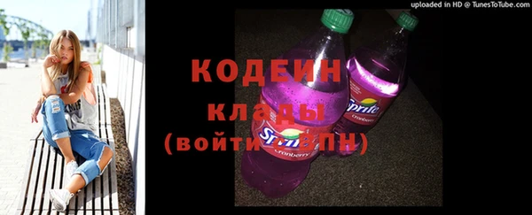 индика Аркадак