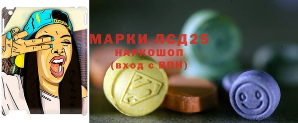 индика Аркадак