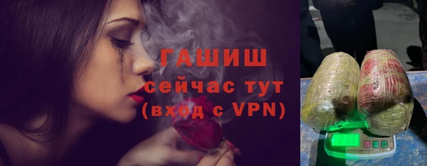 хмурый Арсеньев