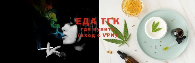 индика Аркадак