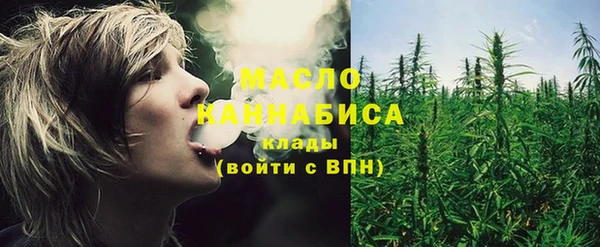 хмурый Арсеньев