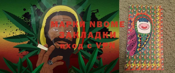 хмурый Арсеньев