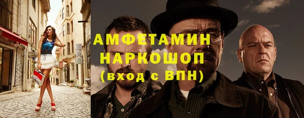 индика Аркадак