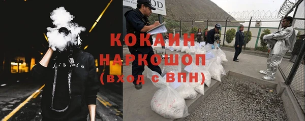 хмурый Арсеньев