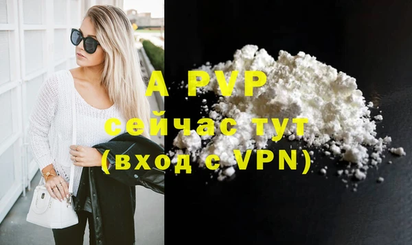 индика Аркадак