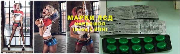 индика Аркадак