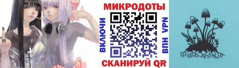 Псилоцибиновые грибы прущие грибы  Пермь 